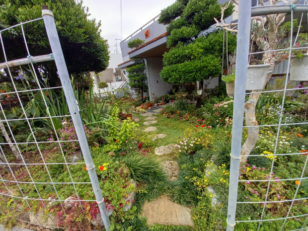 「可愛いお花がいっぱい」