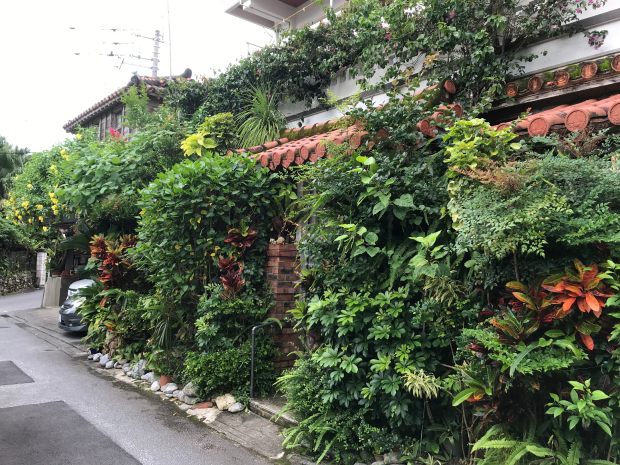 「首里の緑はここだ！」